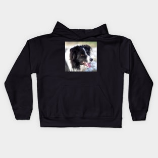 Border Collie dog in the snow Kids Hoodie